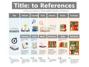 开题报告各部分英语表达指南，从Title到References的完美攻略